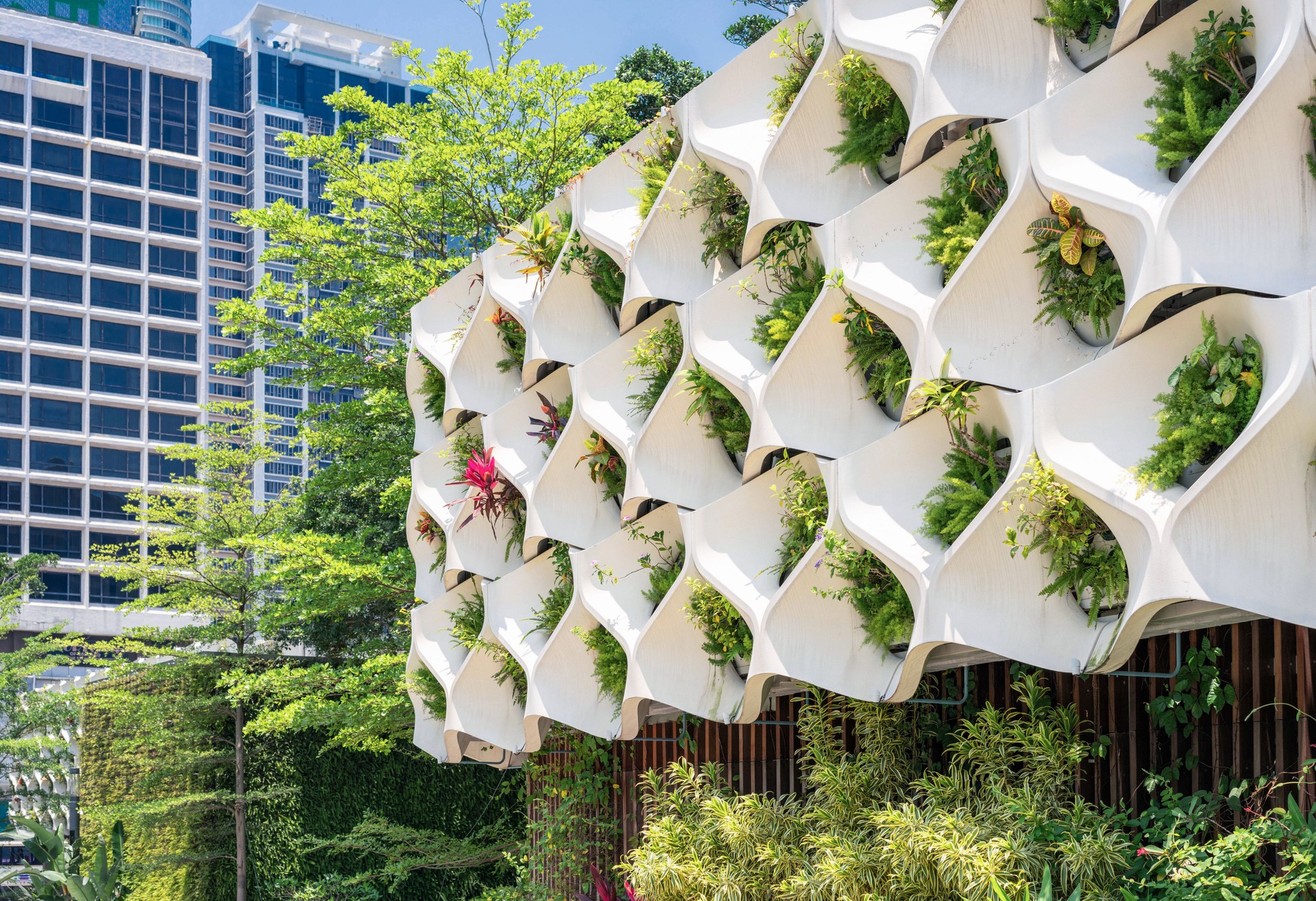 Vertical garden in Hong Kong